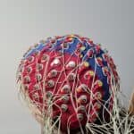 Picture of the back of a head wearing a red and blue electrode cap with many wires